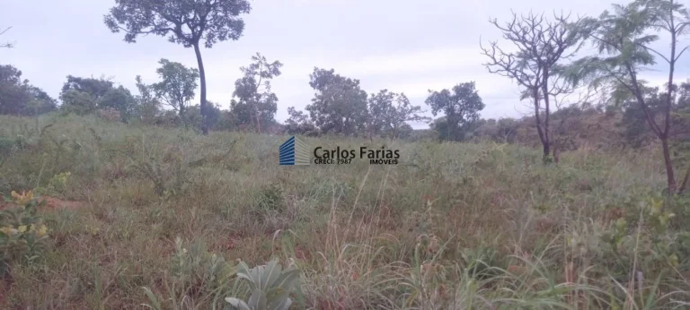 Imagem Chácara para Venda em Brasília, Setor Habitacional Tororó (Jardim Botânico), 1 dormitório, 1 banheiro, 2 vagas