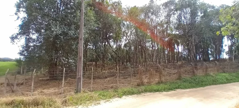 Imagem Chácara à venda em Campo Largo/PR