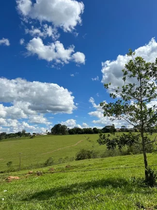 Imagem Oportunidade de área para venda para loteamento em Pedregulho, área nobre nas costas do centro.