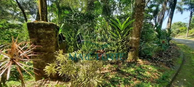 Imagem Terreno na Ponta das Toninhas