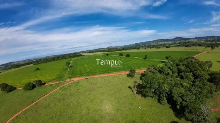 Imagem Fazenda 3 alqueires em Anicuns - Excelente para plantio