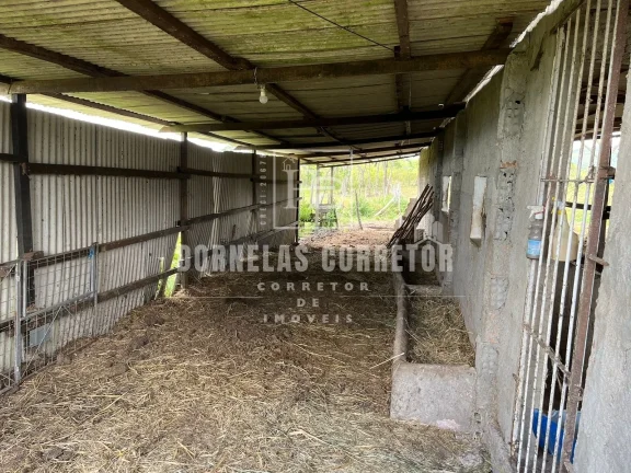 Imagem Fazenda Com 2 casas curral, açudes, poço, 7.500hc as margens da bar. tapacurá