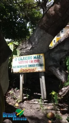 Imagem LINDA ÁREA EM CABRÁLIA