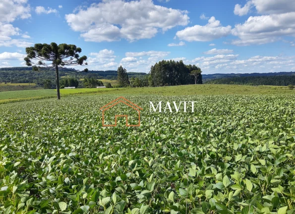 Imagem SITIO RURAL em CAPÃO ALTO - SC, Capão Alto