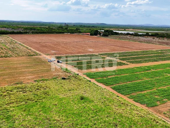 Imagem Fazenda com 116ha, Casa, Galpão, 25ha plantados e mais 32 prontos para plantar