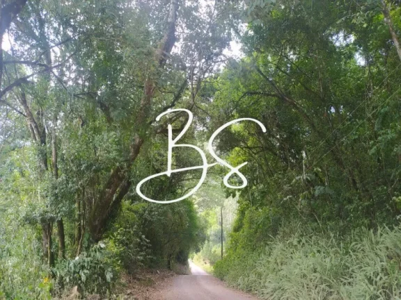 Imagem SITIO RURAL em Santa Lúcia do Piai - RS, Linha Brasil