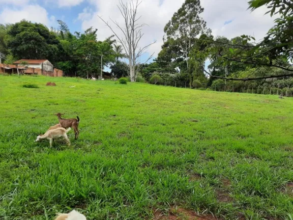 Imagem Rod. Domingos Sartori - sentido Unesp - 2.815m2
