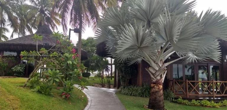 Imagem Lote para Venda em Parnamirim, Pium