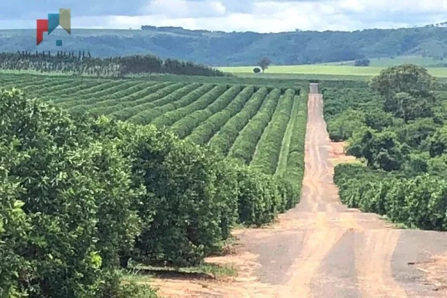 Imagem Fazenda Região de Marilia SP
