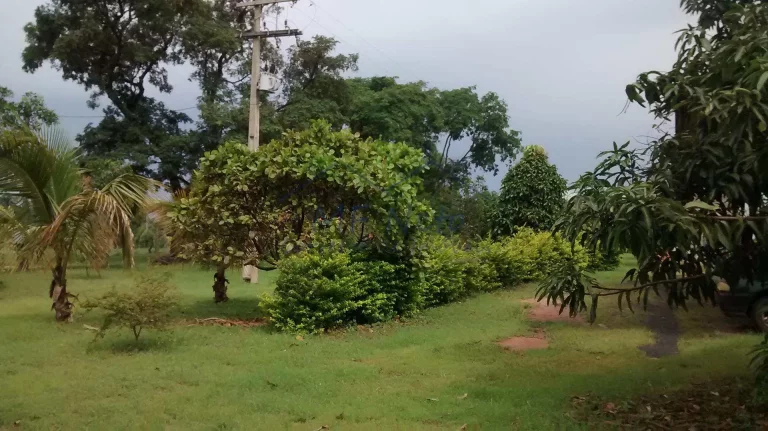 Chácara