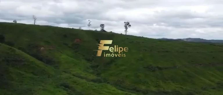 Imagem 110.000 POR ALQUEIRE - FAZENDA Á VENDA PROXIMA A VALADARES/MG!