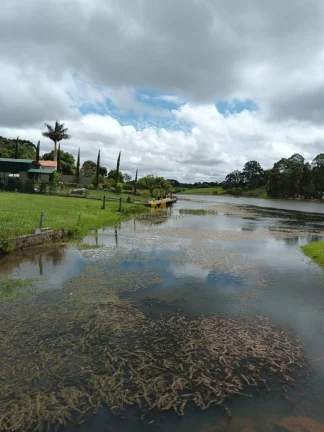 Imagem Chácara à venda no bairro Águas Claras em Piraquara!!!