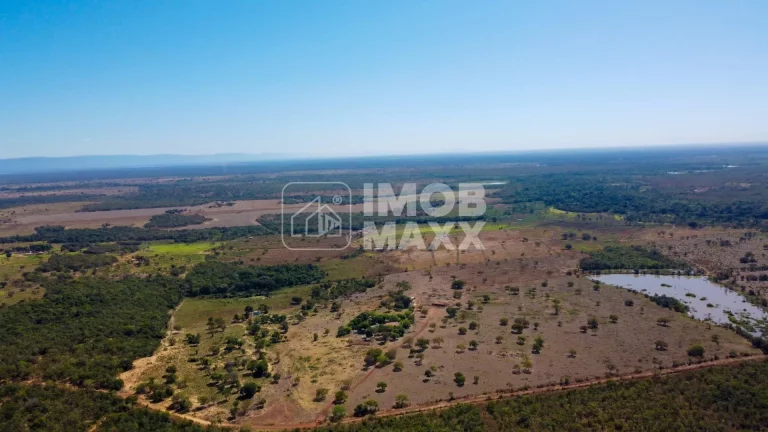 Imagem Fazenda a venda em Formosa: 281 hectares, água perene, dupla aptidão - escriturada e registrada.