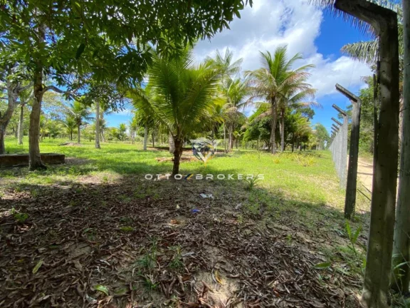 Imagem SITIO RURAL em SANTA CRUZ CABRÁLIA - BA, BR 367