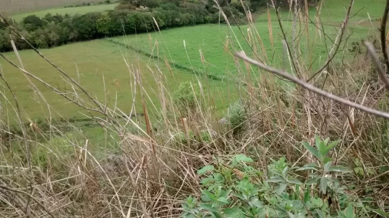 Imagem Terreno na Serra Catarinense: 128.494m² em Bom Retiro-SC, Escritura Pública, Imperdível!