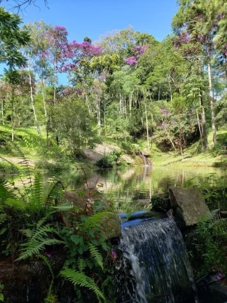 Imagem EXCELENTE PROPRIEDADE COM 20.000M2 EM NOVA FRIBURGO.