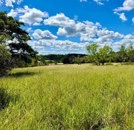 Imagem INVESTIDORES!!! - Sítio a venda com 3 Hectares, Pimenta, Viamão/RS