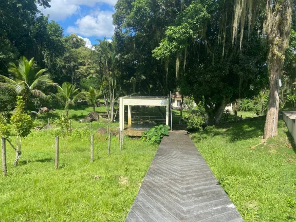 Imagem Vendo Fazenda Araruama município de Basilio com 350 cabeças de Gados