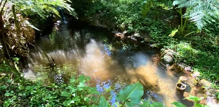 Imagem Sítio Mirante do Juncal: Arquitetura Consciente e Imersão na Natureza