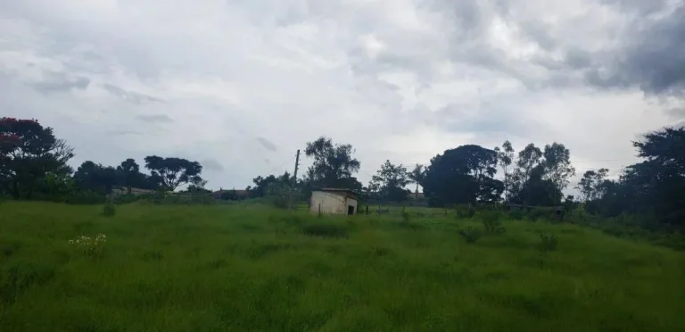 Imagem Lote à venda – 5.334,41 m2 – Colônia Rodrigo Silva