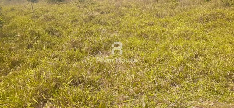Imagem Charmoso sítio à venda em Olho d'Água, Municipio de Sto Antonio Leverger MT