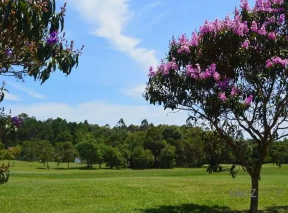 Imagem Terreno, Ingleses do Rio Vermelho - Florianópolis/SC