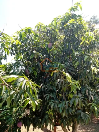 Imagem Chácara à venda no bairro CHACARAS BULGARELLI - Mogi Mirim/SP