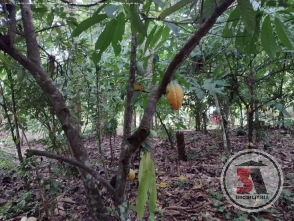 Imagem Chácara Estrada Japonês em Porto Velho