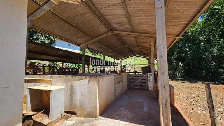 Imagem Sítio à venda próximo à Fazenda Bulle – PR 218, 22 alqueires, renda com soja, cachoeira e represa