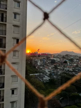 Imagem Apartamento à venda, Jardim Íris, com 3 quartos, 64m²