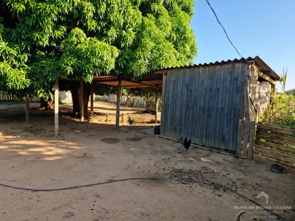 Imagem Chácara 7,8 hectares em Rochedo-MS