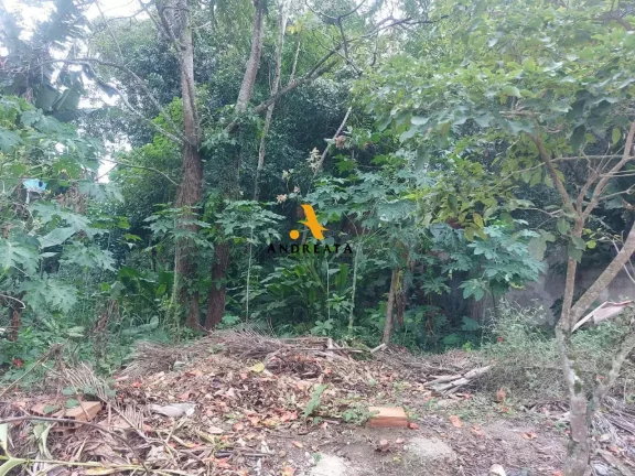 Imagem Estrada dos Bandeirantes - Bosque dos Eucaliptos - excelente lote para construir