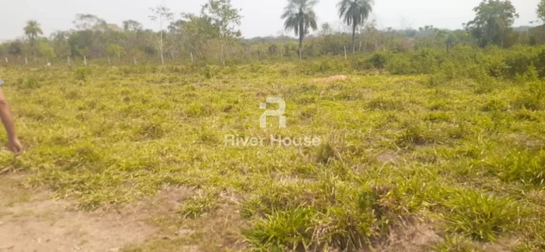 Imagem Charmoso sítio à venda em Olho d'Água, Municipio de Sto Antonio Leverger MT