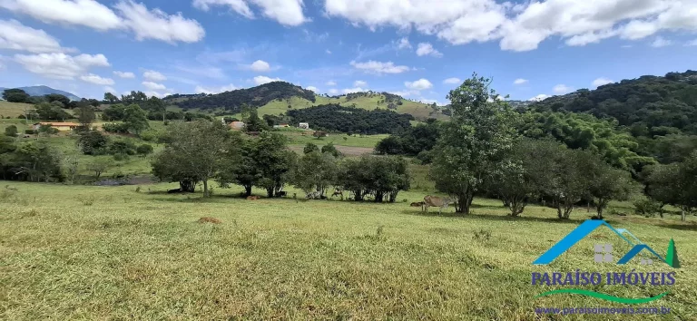 Imagem Refúgio Natural em Paraisópolis: Terreno Exclusivo com 5 Fontes de Água!