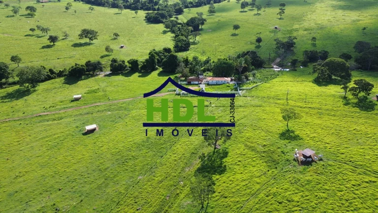 Imagem Fazenda de 1ª com 155 Hectares prox. à Goiânia.