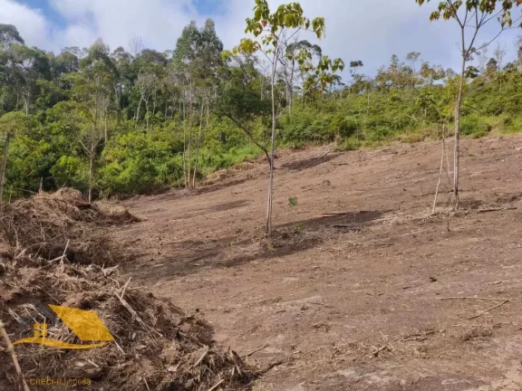 Imagem Vendo Àrea Rural a partir de 10 mil mts², Boa Topografia, Com RGI