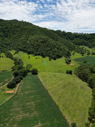 Imagem SÍTIO DE 24,99 ALQUEIRES (60,49 hectares) em RIFAINA/SP COM ESTRUTURA COMPLETA, 03 CASAS SIMPLES, E MUITA ÁGUA..