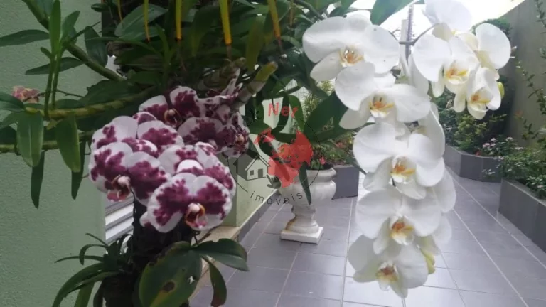 Imagem Apartamento à Venda no bairro Rudge Ramos em São Bernardo