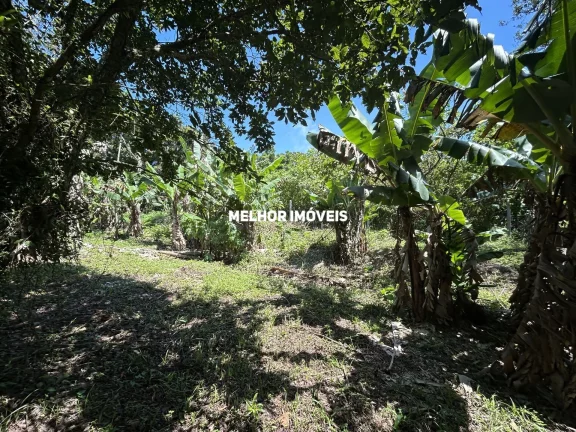 Imagem Terreno à Venda com 3.260m² - Praia do Estaleiro - Balneário Camboriú -SC