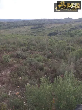 Imagem Fazenda para Venda no 2º Distrito de Piratini-RS