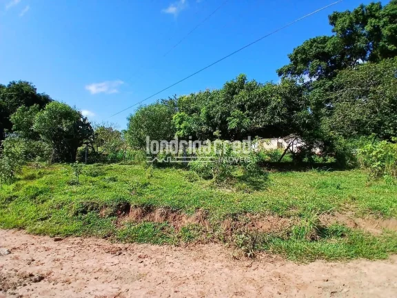 Imagem Sítio à venda, Flamenguinho, Ibaiti, PR