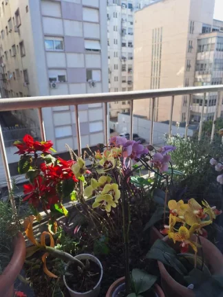 Imagem Apartamento com 3 Dormitorio(s) localizado(a) no bairro Independência em Porto Alegre / Rio Grande do Sul Ref.:9