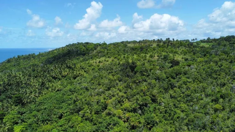 Imagem Natureza Serra Grande