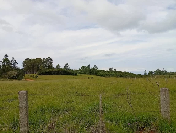 Imagem Sítio a venda com 9 Hectares, Passo da Areia, Viamão/RS