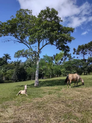 Imagem Sitio à Venda em Atibaia bairro do Portão