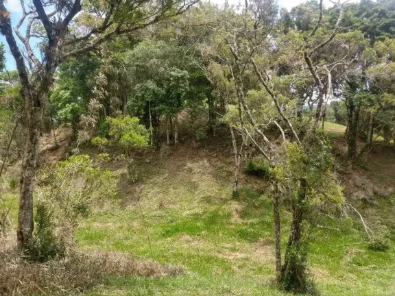 Imagem Terreno em condomínio fechado no Rancho Queimado