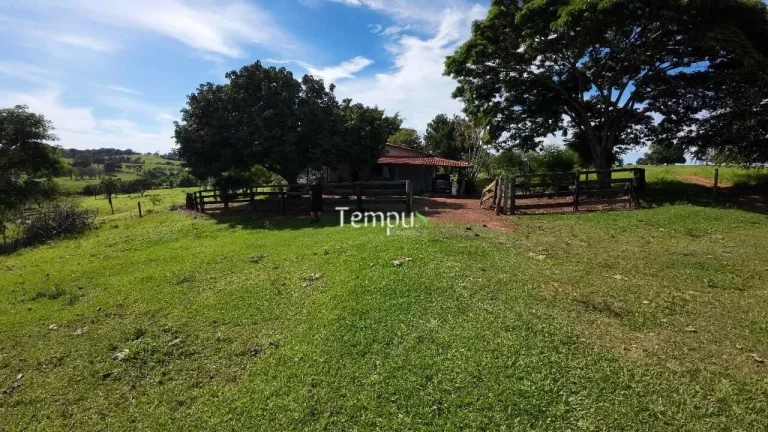 Imagem Fazenda 3 alqueires em Anicuns - Excelente para plantio