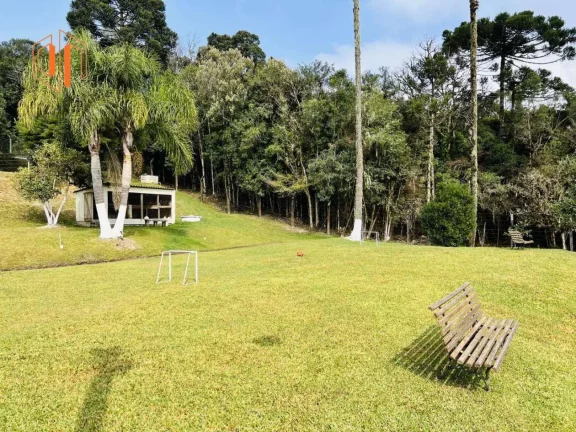 Imagem Chácara para Venda em São José dos Pinhais, Borda do Campo