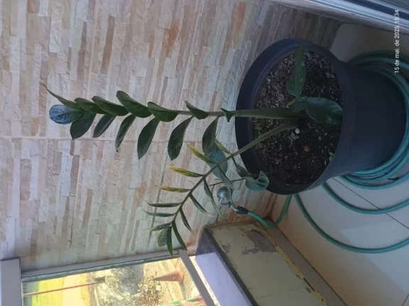 Imagem “Esse sobrado é tipo 2 em 1: casa linda + espaço pra ganhar dinheiro!”