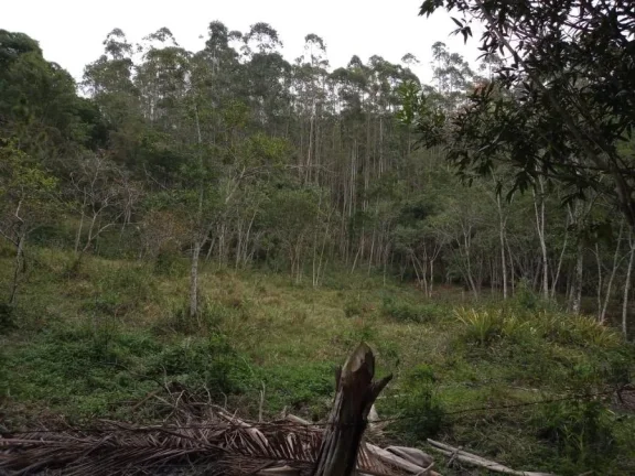 Imagem Sítio para Venda por R$600.000,00 com 3 dormitórios na casa sede, 2 casas e 2 cozinhas - Padre andre , Jacupiranga / SP - Cód. BDI28102